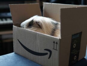 Neu auf Amazon Prime im September 2022 (Quelle: Pixabay.com)