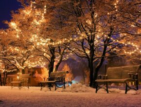 Lichter im Park / Die besten Weihnachtsfolgen aus Serien (Quelle: Pixabay.com)